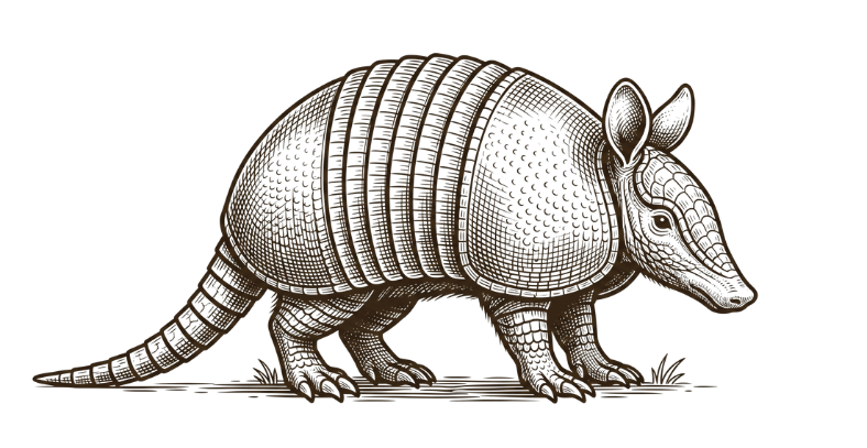 Logo de Tatuia